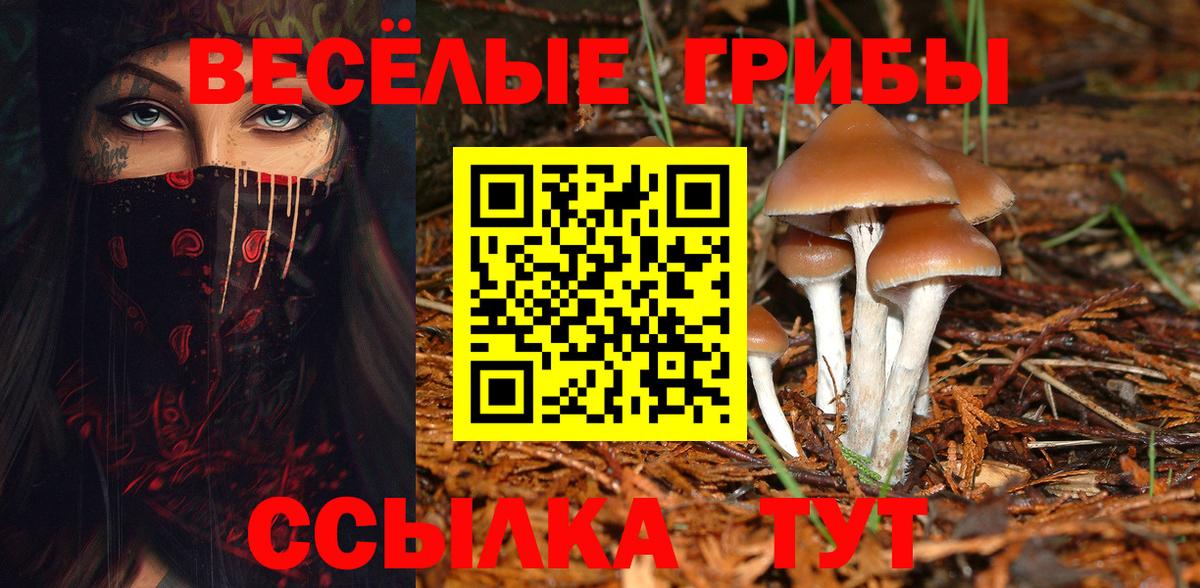 Сорочинск  что такое наркотик  Вход с VPN  Галлюциногенные грибы MAGIC MUSHROOMS 
