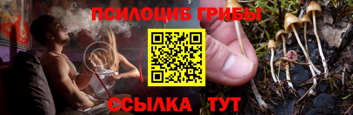 Псилоцибиновые грибы прущие грибы Сорочинск